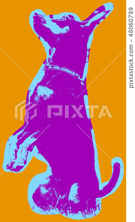 Poster with portrait of a miniature pinscher dog 48060789