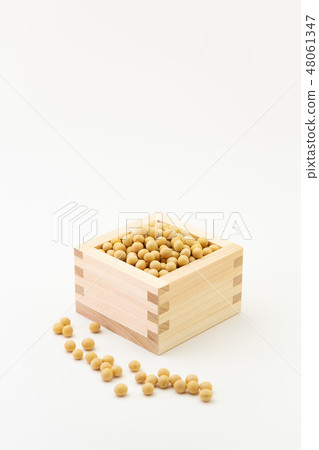 大豆組合 48061347