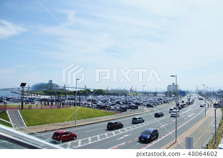 Onahama Marine Park 48064602