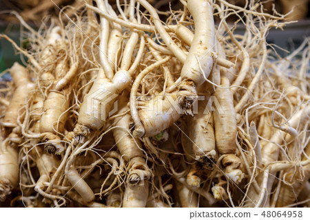 Ginseng 48064958