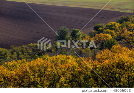 Wavy  autumn fields in Moravian Tuscany 48066098