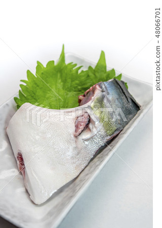 [Buri kama] 48066701