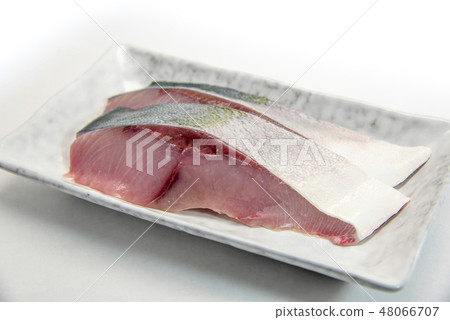 [布里魚片] 48066707