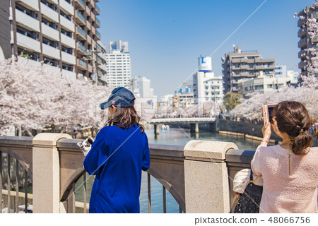 [岡川真喜吉野] 48066756