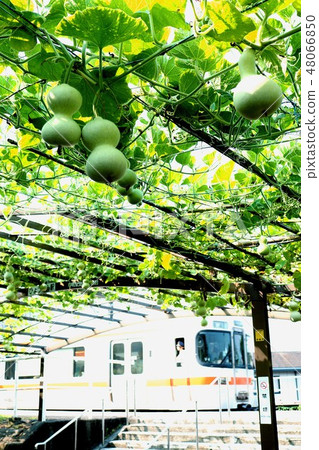 The railway and summer of the four seasons 48066850