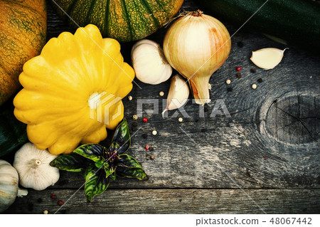 Harvest of seasonal vegetables 48067442