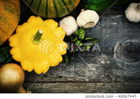 Harvest of seasonal vegetables 48067445