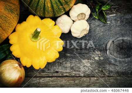Harvest of seasonal vegetables 48067446
