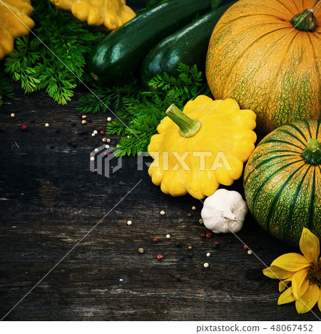 Fresh organic gardening vegetables Fresh organic gardening vegetables 48067452