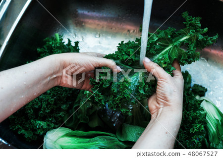 Washing fresh green kale leaves closeup 48067527