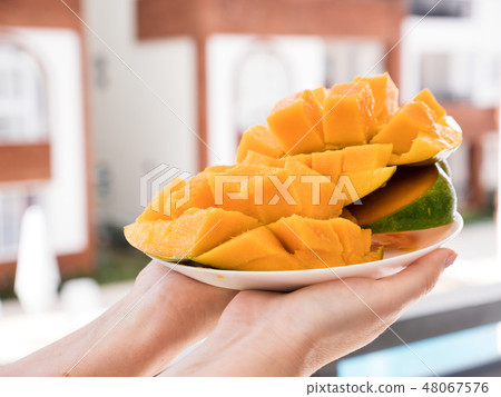 Half cutted cubes slices ripe mango in hands 48067576