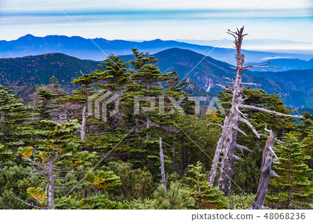 [Yamanashi Prefecture] Autumn from Kokushigatake 48068236