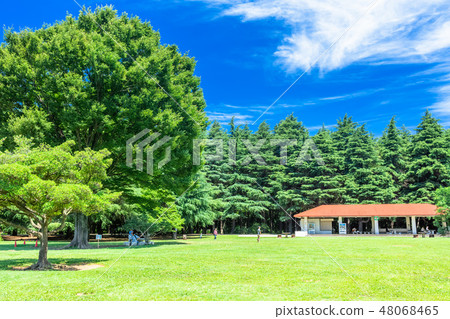 在Nerima Ward東京的Mitsuigaoka公園 在Nerima Ward東京的Mitsuigaoka公園 48068465