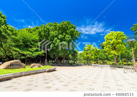 在Nerima Ward東京的Mitsuigaoka公園 48068515