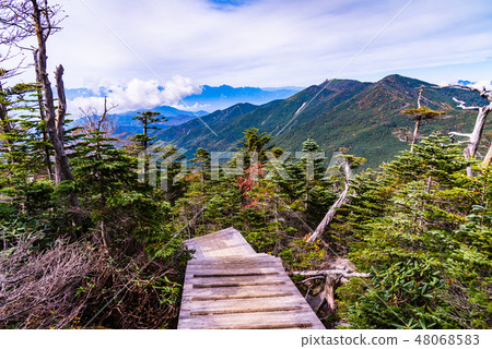 [山梨縣]國立竹岳夢幻花園秋天 48068583