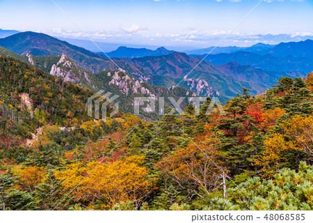 [Yamanashi Prefecture] Kokushigatake Dream Garden Autumn 48068585