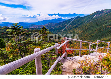 [Yamanashi Prefecture] Kokushigatake Dream Garden Autumn 48068586