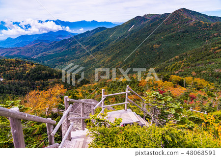 [山梨縣]國立竹岳夢幻花園秋天 48068591