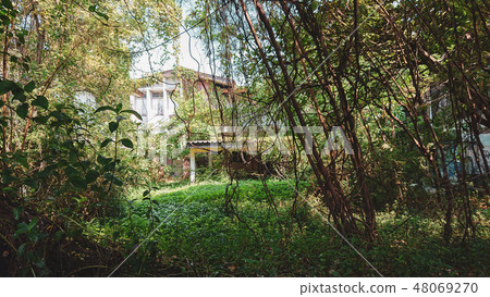 Old House with nature. houses and environment Old House with nature. houses and environment 48069270