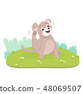 The itchy dog try to scratch his itch skin  48069507
