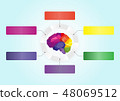 Business infographics template of human brain  48069512