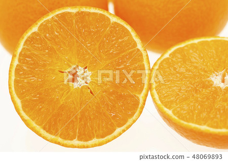 紅色瘋狂 紅色瘋狂 48069893