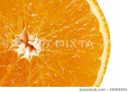 紅色瘋狂 紅色瘋狂 48069894