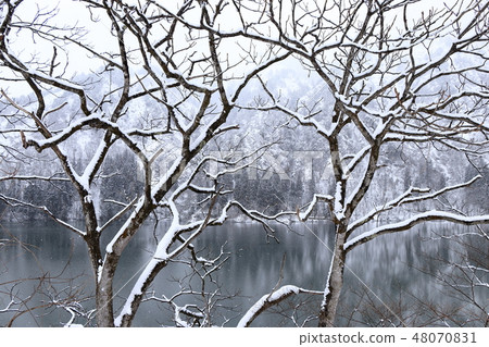 At Todami River Ueda Dam dam lake in winter 48070831
