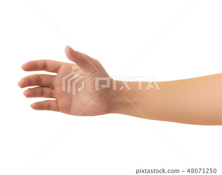 Human hand isolate on white background Human hand isolate on white background 48071250