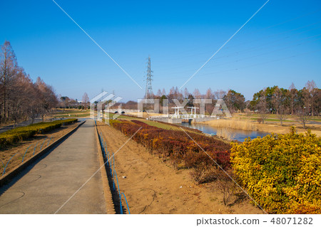 Omiya Hana no Oka Agriculture and Forestry Park Winter Scene Omiya Hana no Oka Agriculture and Forestry Park Winter Scene 48071282