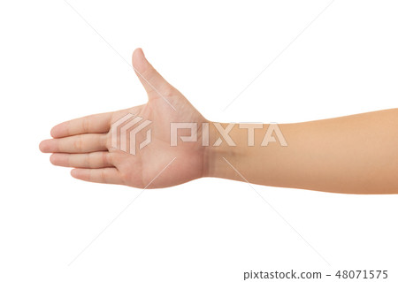 Human hand isolate on white background 48071575