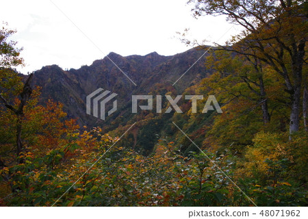 Autumn Izumiyama 48071962