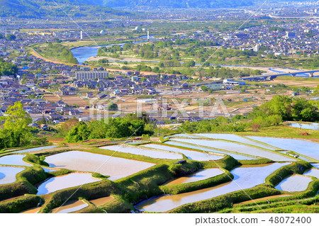 在長野縣千馬市投擲水稻梯田 在長野縣千馬市投擲水稻梯田 48072400