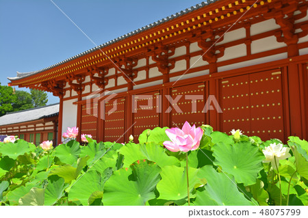 Nara · Yakushiji Nara · Yakushiji 48075799