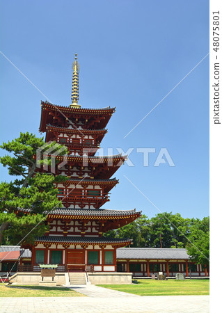 奈良·Yakushiji 48075801