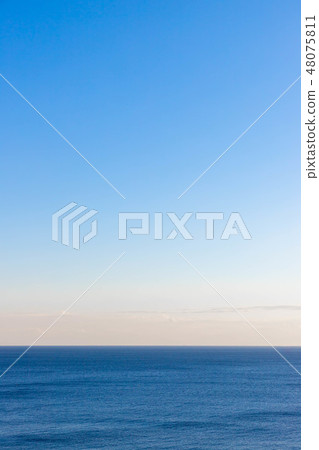 Horizon  48075811