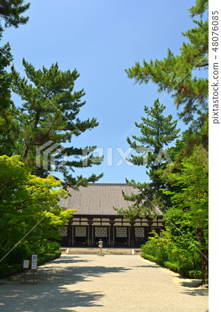 Nara · Toshodaiji Temple Nara · Toshodaiji Temple 48076085