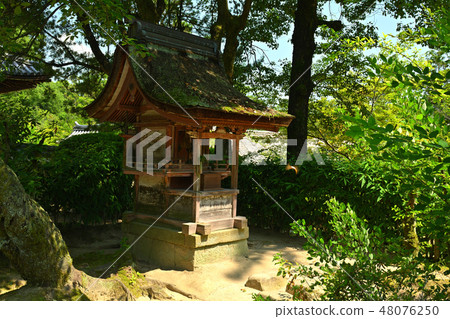 奈良·Toshodaiji寺 奈良·Toshodaiji寺 48076250