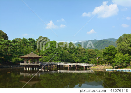 World Heritage · Nara Park World Heritage · Nara Park 48076548