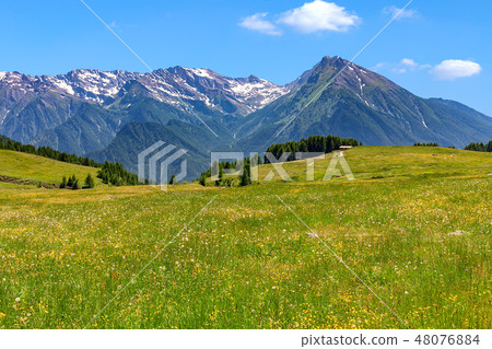 Alpine meadow and mountains in Italy. 48076884