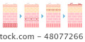 Illustration of the flow of the skin turnover structure 48077266