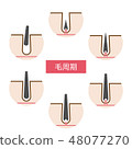Hair cycle of hair removal Simple Cute explanatory illustration 48077270
