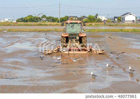 Okitsuki國家童話風景 Okitsuki國家童話風景 48077861
