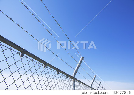 籬芭和藍天 48077866