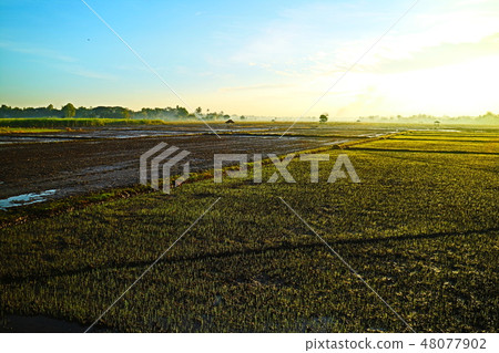 Beauty landscape in closeup style for background Beauty landscape in closeup style for background 48077902