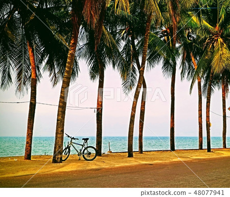 Beauty landscape in closeup style for background Beauty landscape in closeup style for background 48077941