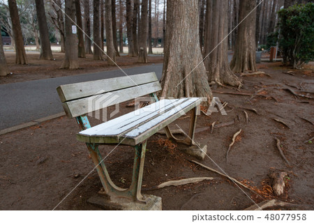 雪被堆積的公園長椅 48077958