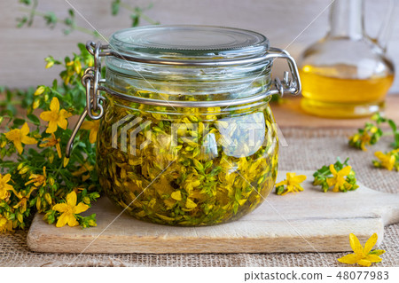 Preparation of St. John's wort oil 48077983