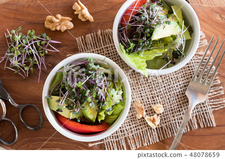 Fresh kale and broccoli microgreens in a salad 48078659