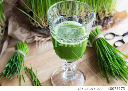 A glass of wheatgrass juice with fresh wheatgrass 48078675